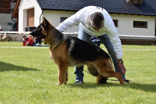 Rocky z Vajsbachu , Vítěz třídy mladych VD-1.